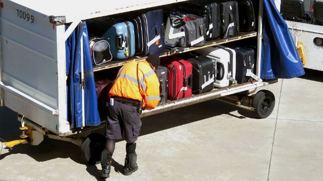 Customs: 13 Pounds of Horse Genitals Found Hidden in Woman's Luggage at  Airport