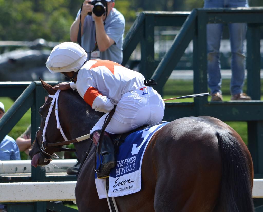 A Visual Dive Into Travers Day at Saratoga's Race Track