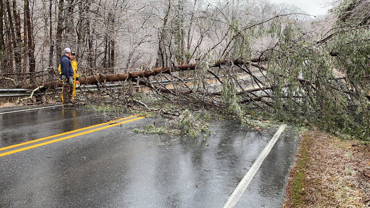 Crews clear a fallen tree off of Belews Creek Road near Stokes County. (Courtney Wallen)