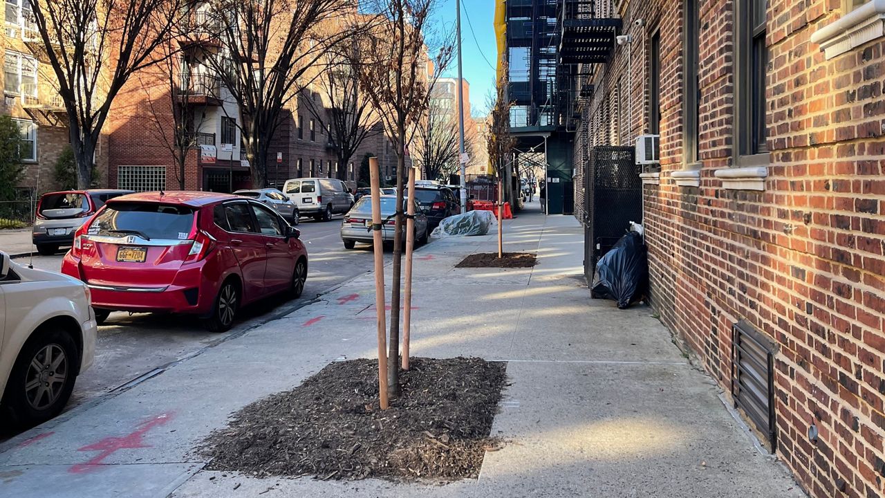 Astoria residents complain about trees in middle of sidewalk
