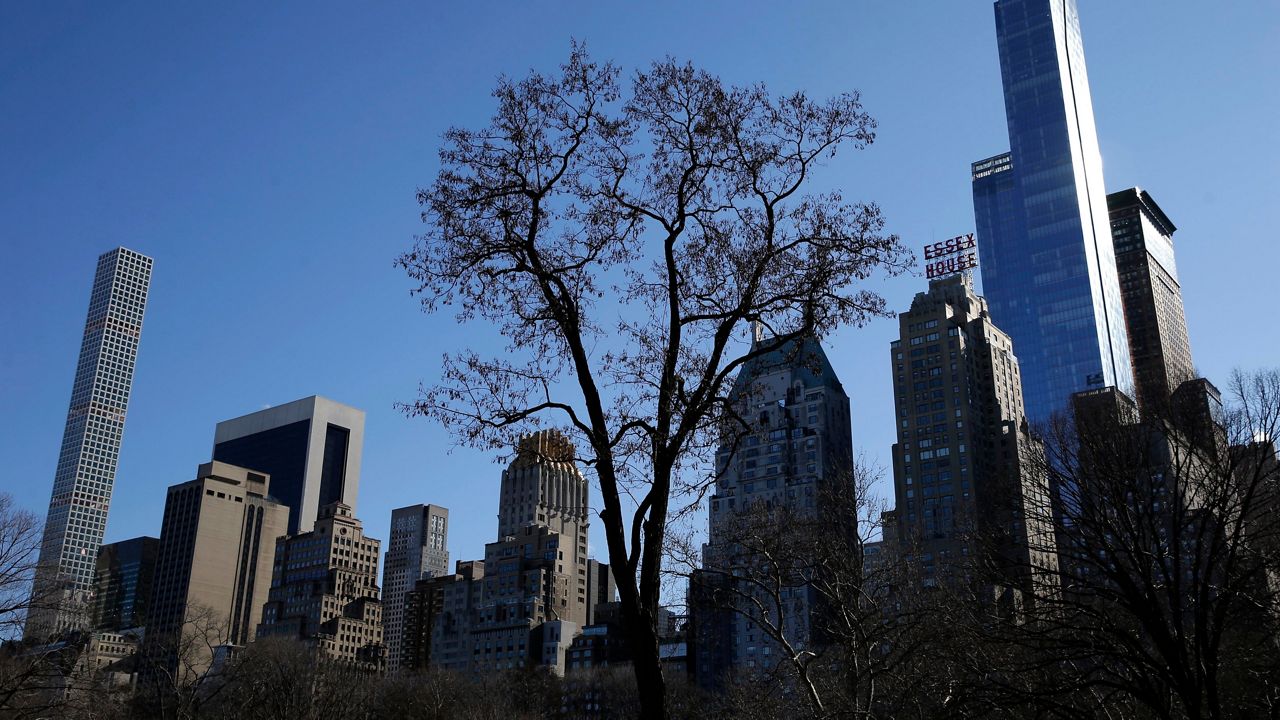 气候倡导者谈论在城市中种植更多树木的努力