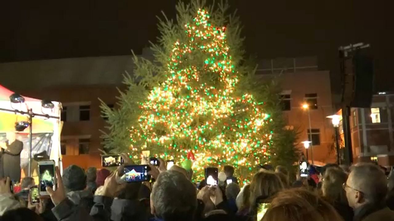 Roswell Park Holds 25th Annual Lighting of the Tree of Hope