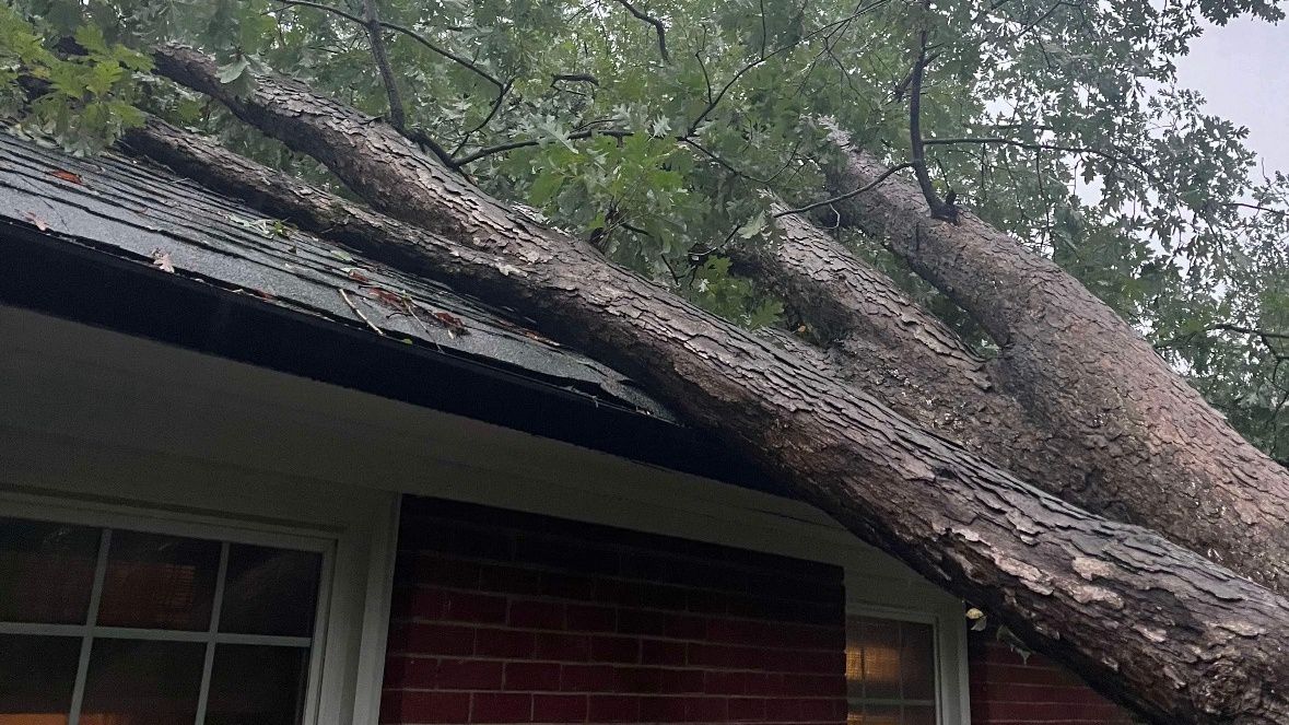 A tree fell on a house early Friday morning in the Madison Park neighborhood in Charlotte. (Viewer Photo: Christin Hambacher)