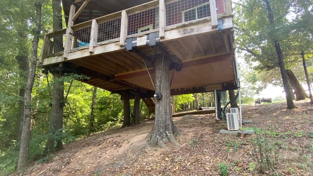 Tar Heel Treasures Treehouse Vineyards