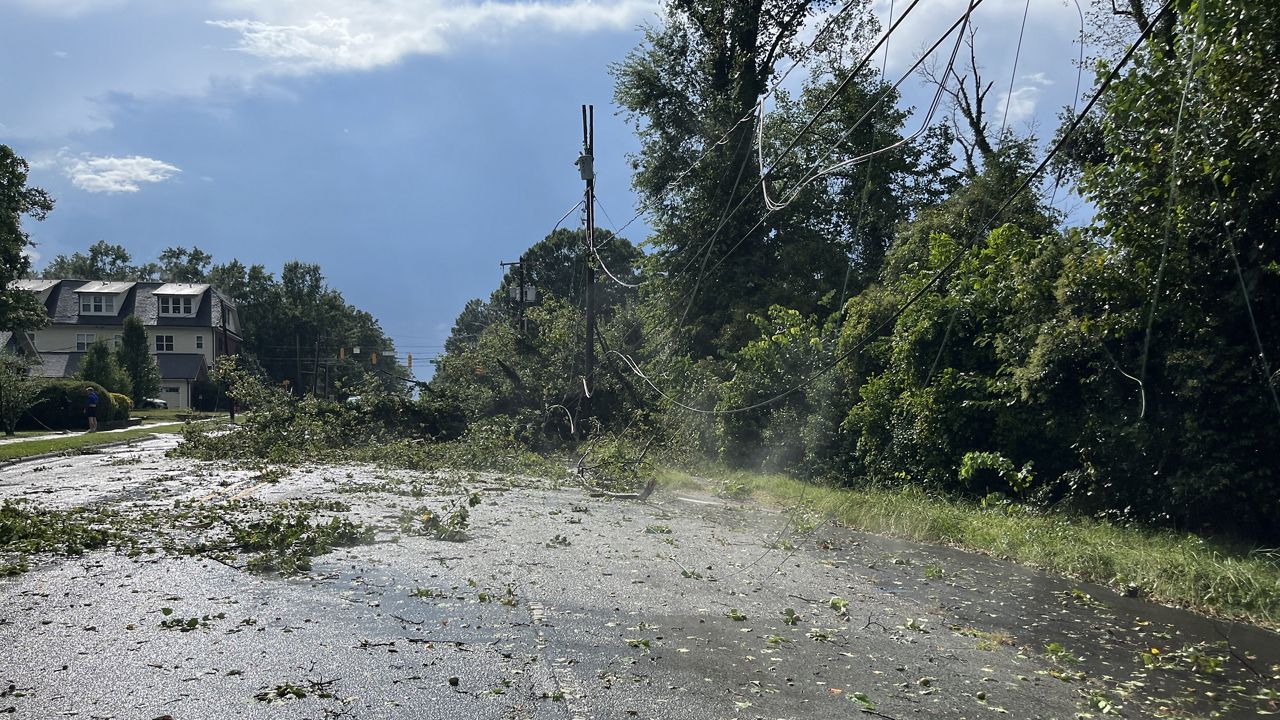 treedown