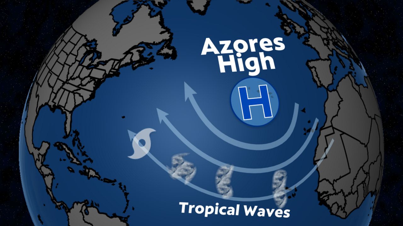 What Is an Easterly or Tropical Wave?