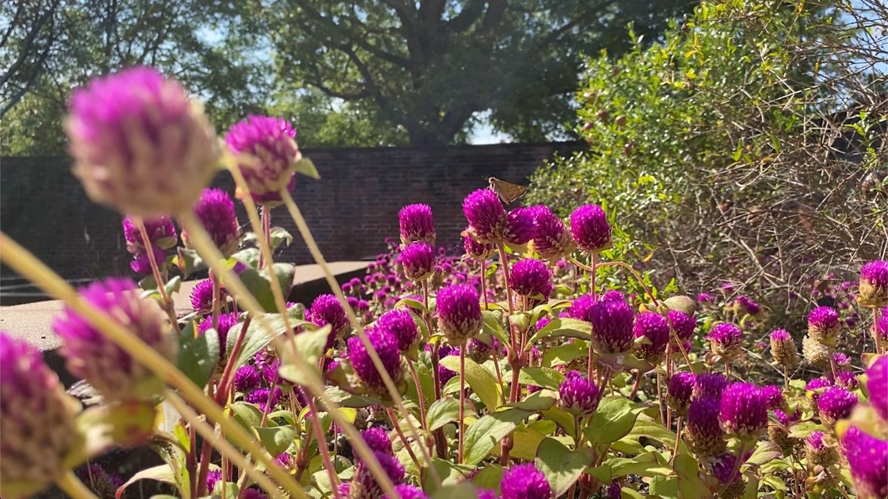 Tryon Palace Gardens