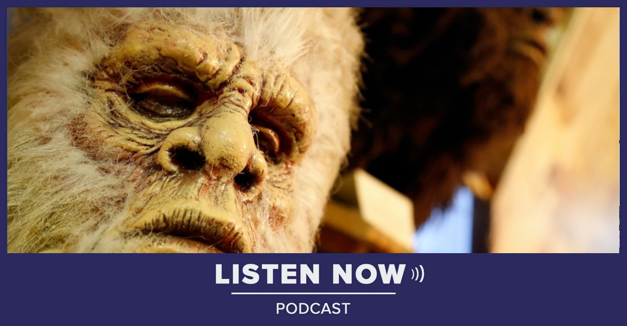 Halloween: The legend of Florida's Bigfoot - Vimarsana News