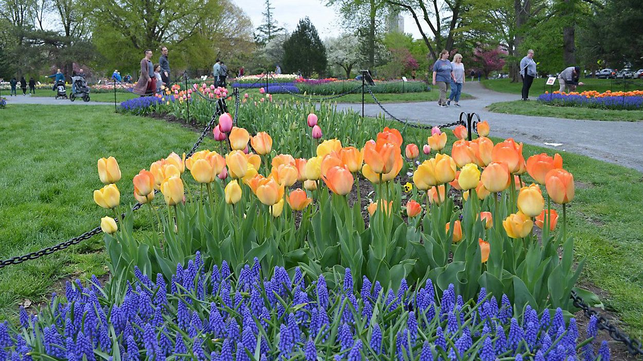 Preparing for spring at the Rochester Home and Garden Show