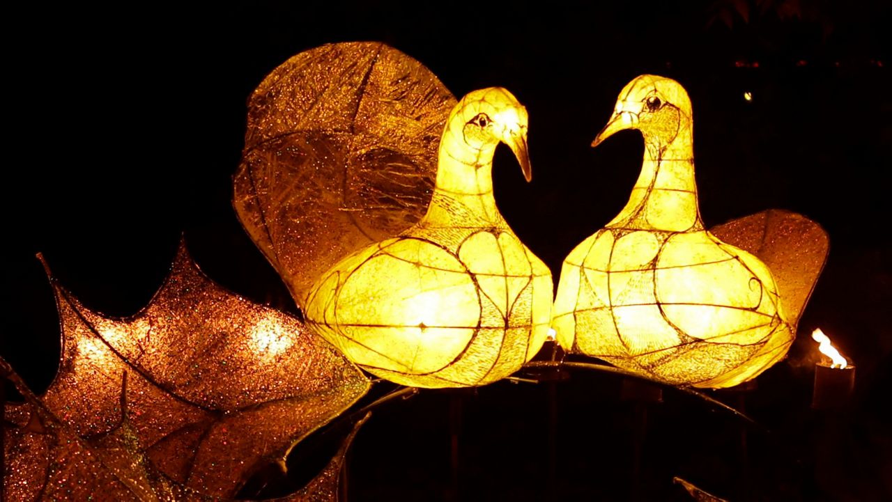 The "Two Turtle Doves" section of a "Fire Garden" display is seen at the "Christmas at Kew" festival at the Royal Botanic Gardens, Kew, in London in 2016. (AP Photo/Matt Dunham, File)