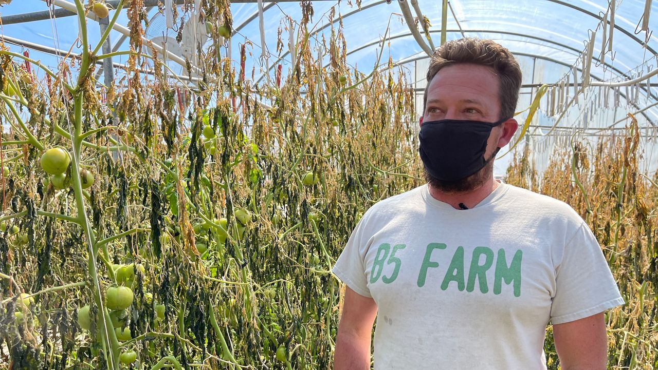 Jamey Gage of B5 Farms. Carlos Garcia/Spectrum News 1)