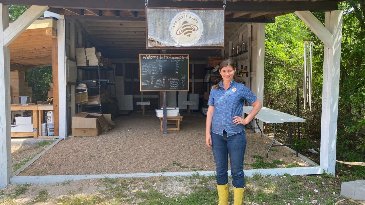 Texas beekeeper says winter freeze had impact on her hives - Vimarsana News