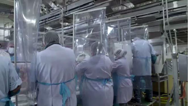 Tyson employees working on the lines with COVID-19 protection