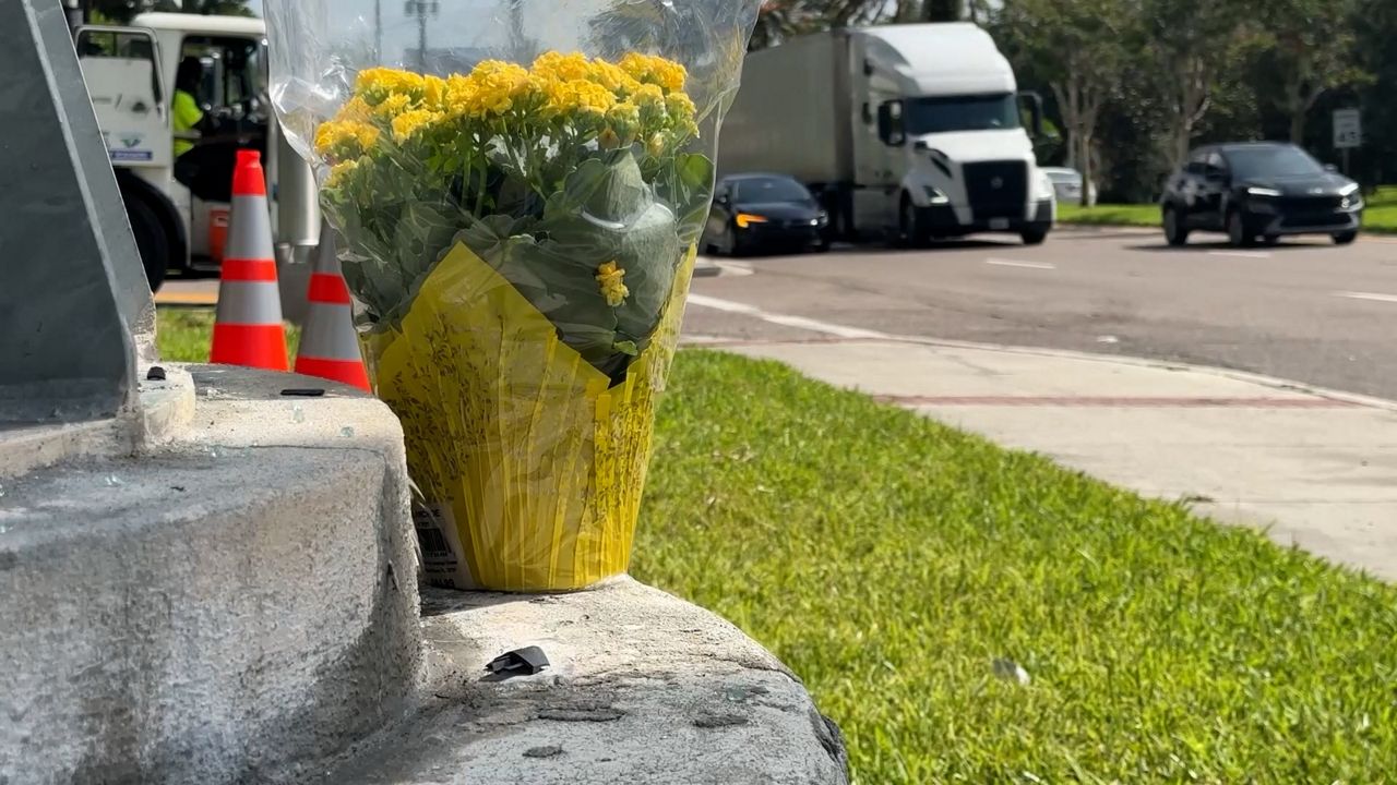 Brothers killed in Casselberry crash remembered as suspect awaits hearing