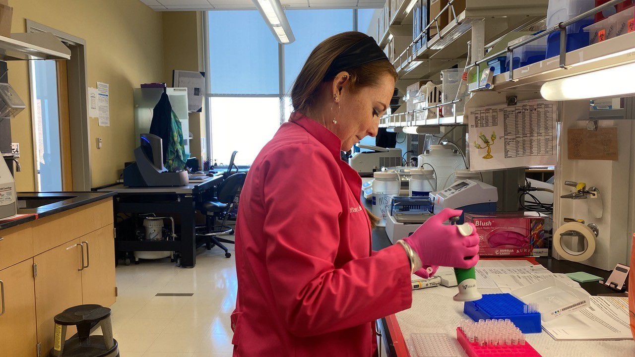 UK researchers awarded 1.7M to study Alzheimer's disease