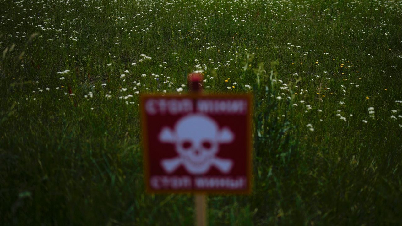 A danger sign warning about land mines is posted in a field blanketed with wildflowers near Lypivka, on the outskirts of Kyiv, Ukraine. (AP Photo/Natacha Pisarenko, File)