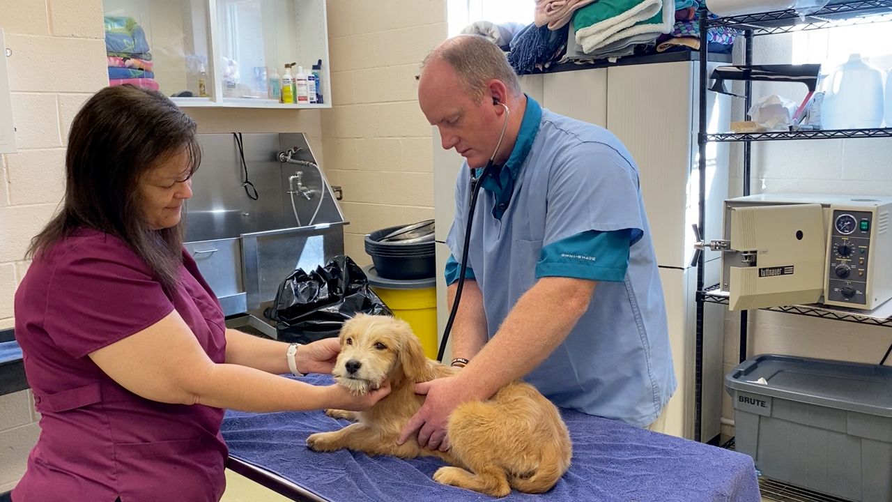 Evening Briefing What you need to know