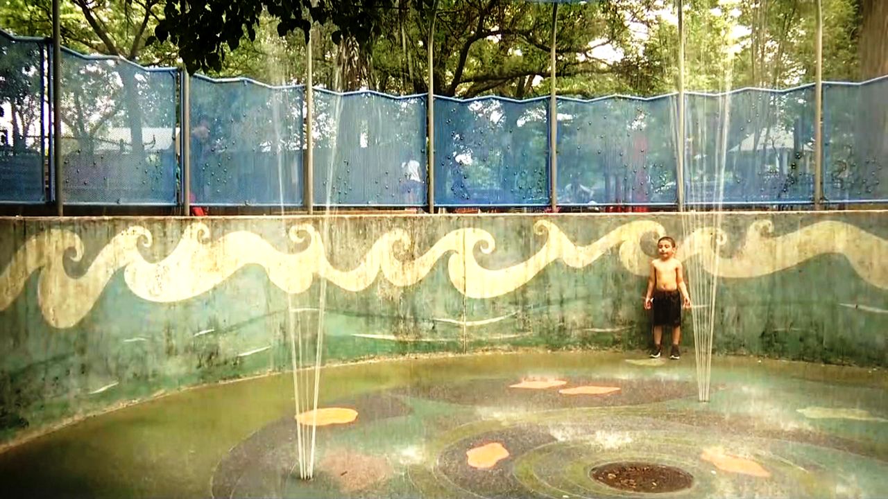 Queens fountain bacteria