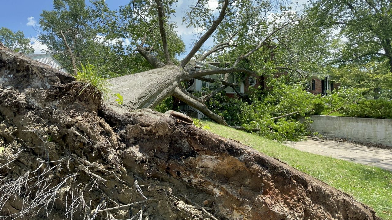 The science behind microbursts