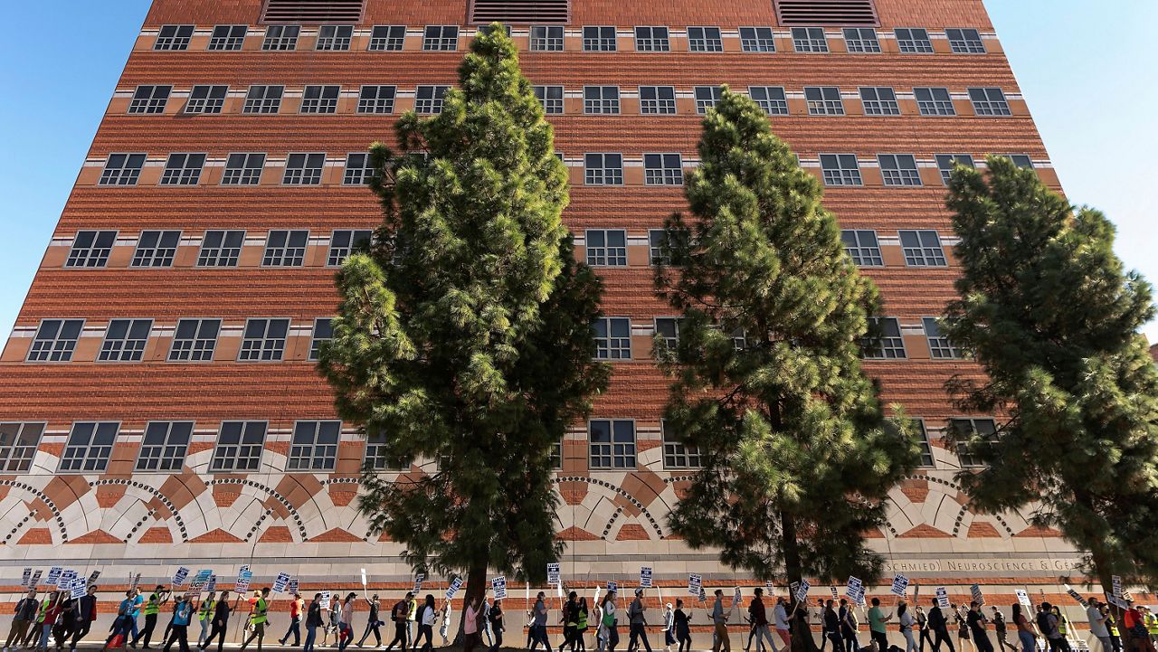 People participate in a protest outside of the University of California Los Angeles campus in Los Angeles, Nov. 14, 2022. (AP Photo/Damian Dovarganes, File)
