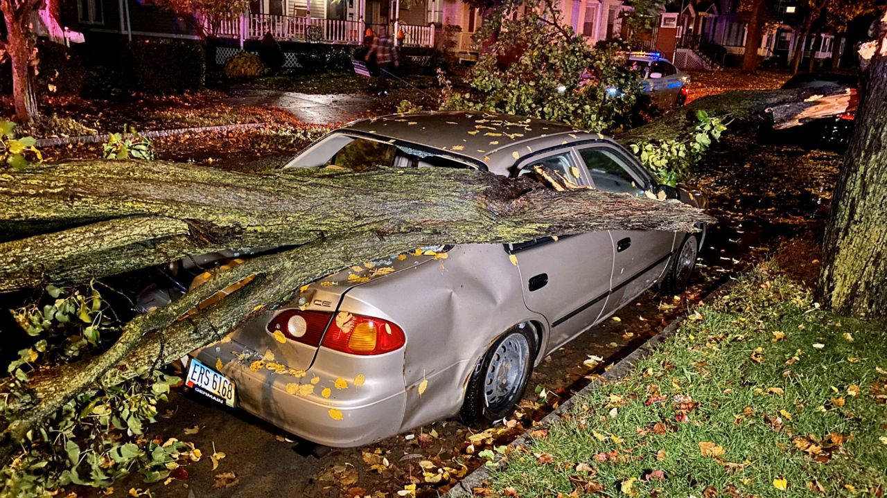 High Winds Bring Down Trees and Cause Thousands of Power Outages