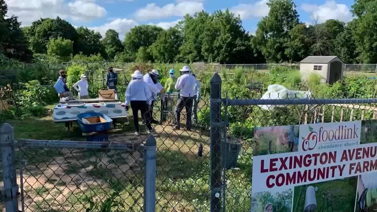 NYS grants will make more community farms possible