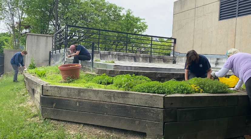 Older adults create urban garden at Milwaukee’s OASIS Center
