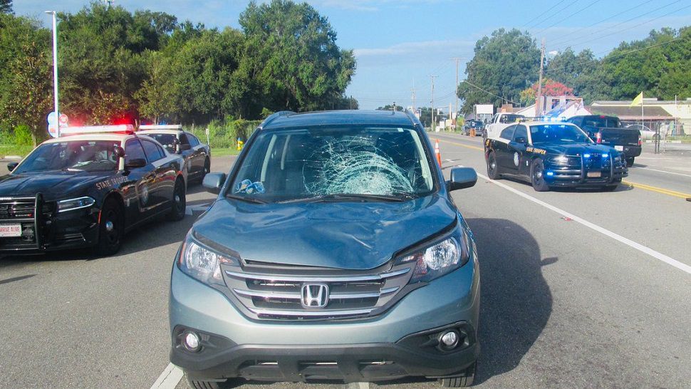 Man, 68, killed in pedestrian crash in Seffner