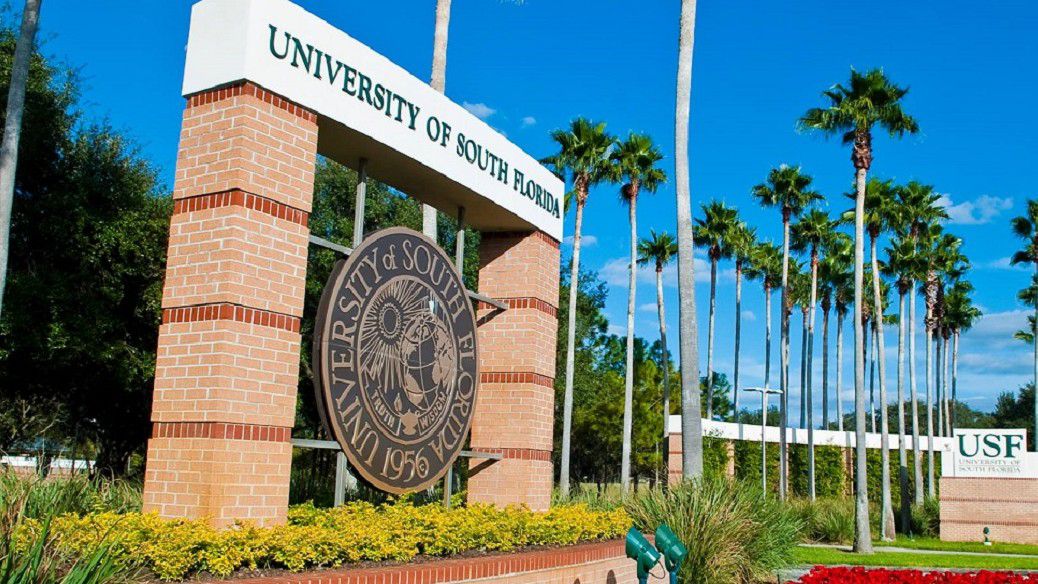 University of South Florida (file photo)