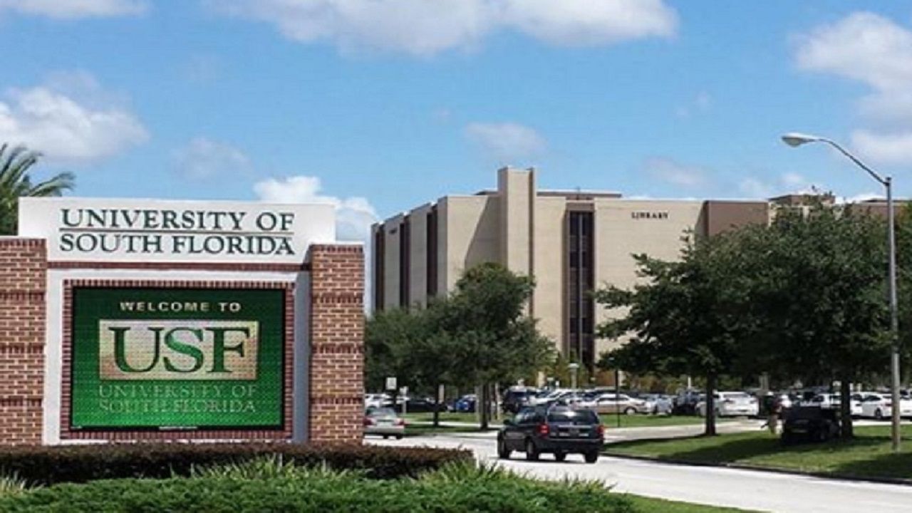 University of south florida. Южно-Флоридский университет. University of South Florida комнаты для студентов. USF. University of South Florida logo.