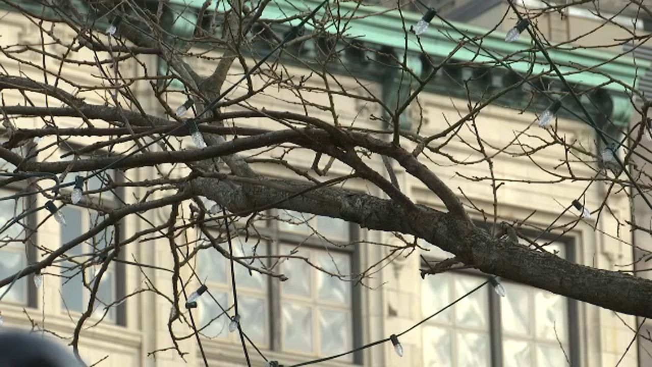 Utica Common Council Passes Rent Relief Resolution