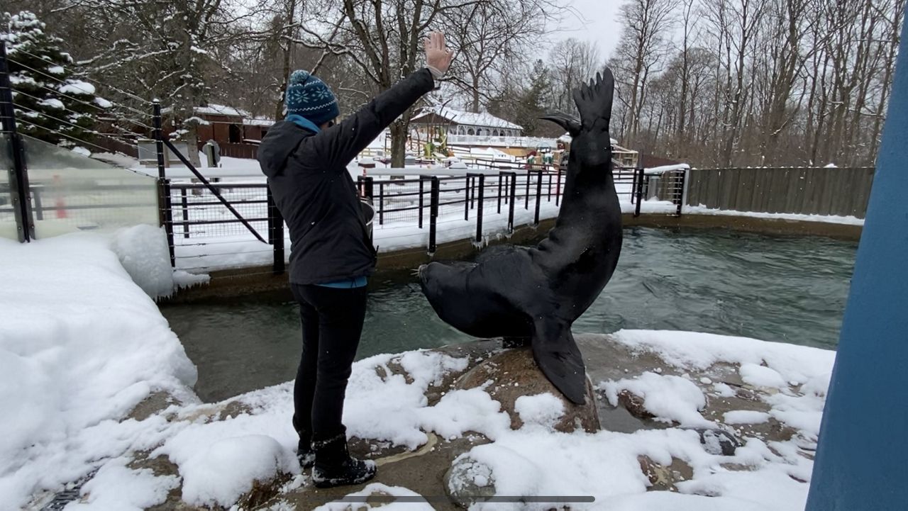 Local business owner trying to fill positions in 15 locations Valley