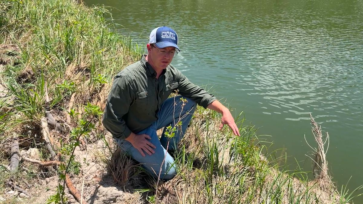 Vegetation along Guadalupe River survives after second flooding event in over a year