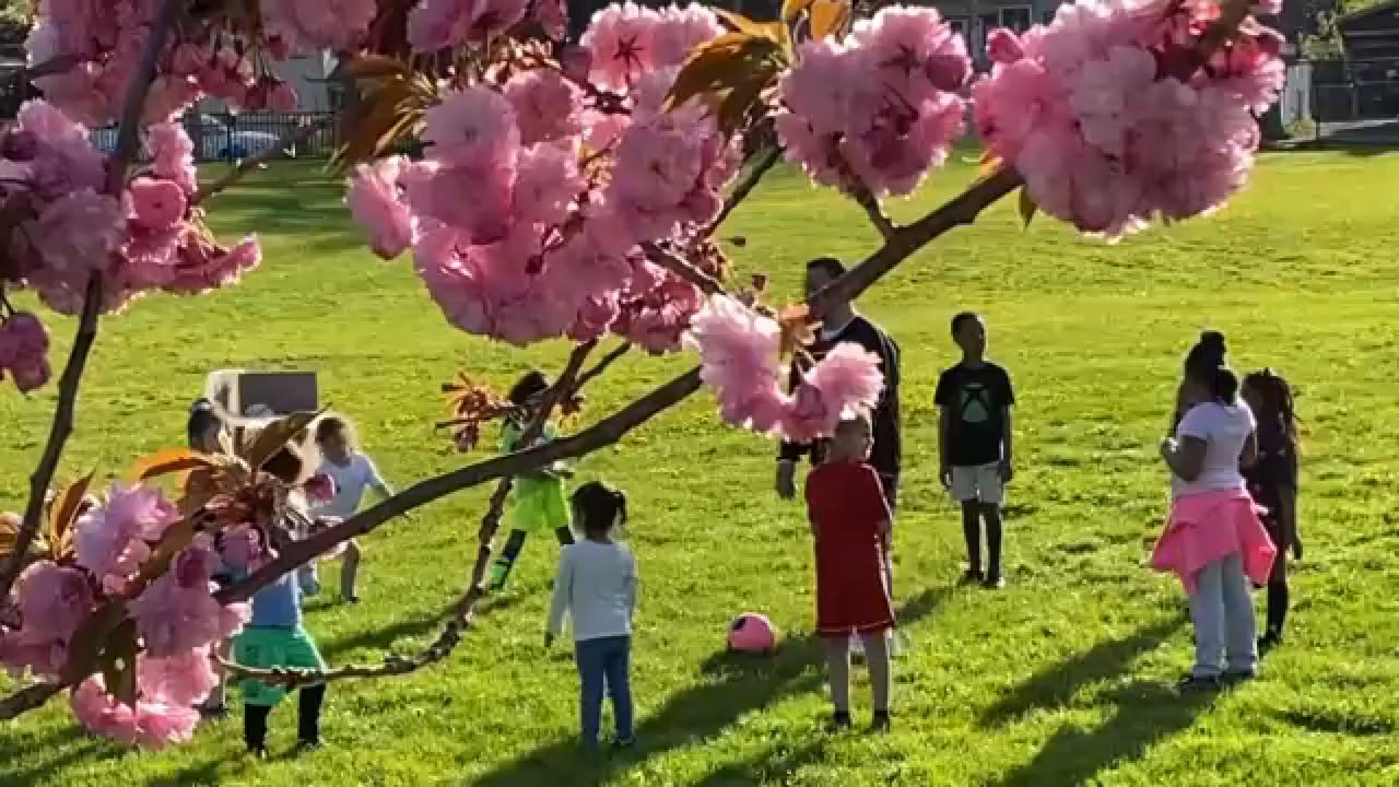 Rochester children dealing with trauma of city violence - Vimarsana News