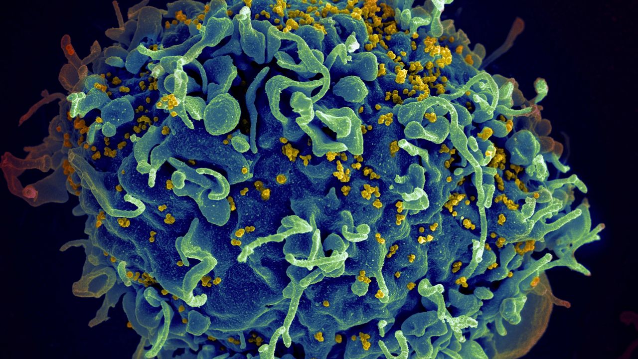 Increased infectious disease risk likely from climate change - Vimarsana News