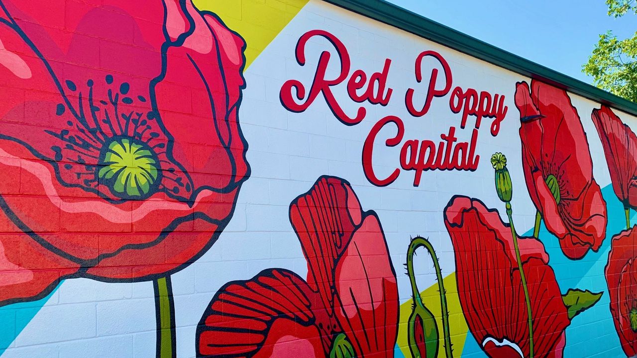 Georgetown's 2021 Red Poppy Festival Returns in October as