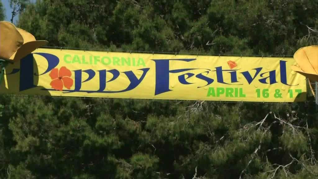 Lancaster City Park Transforms for California Poppy Festival