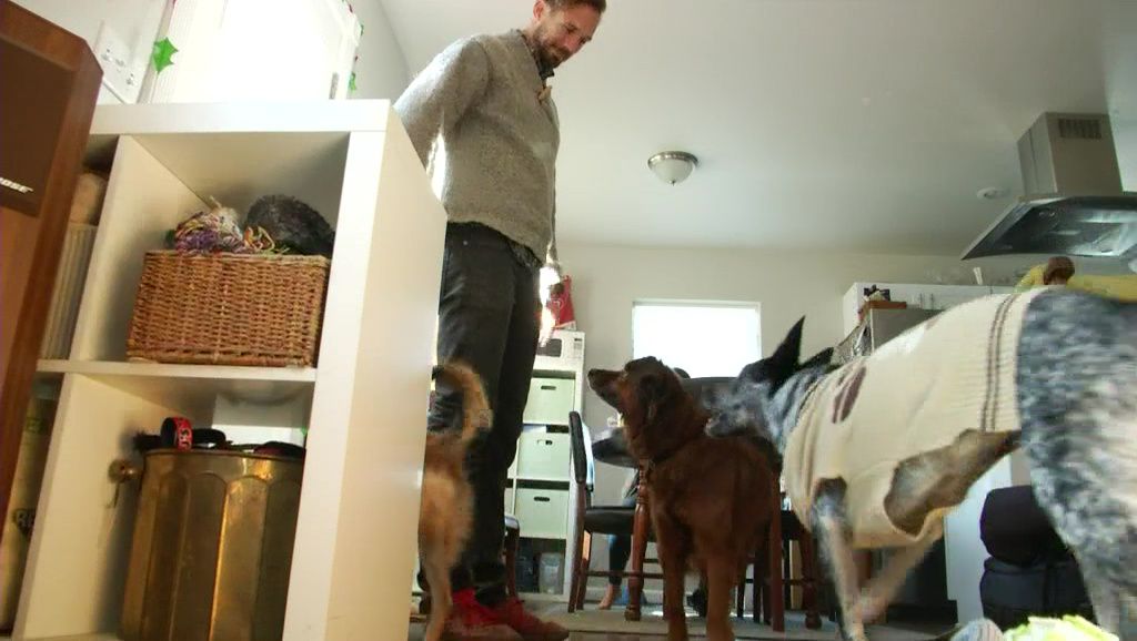 site Offers Room and Board for Your Pets