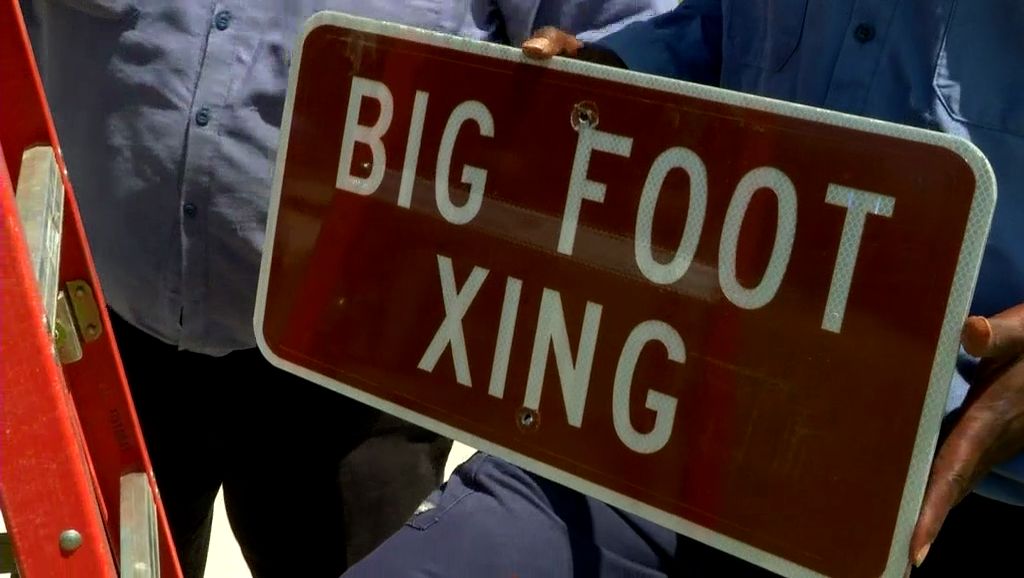 Park rangers spot 'Bigfoot' in Round Rock, ask kids to help track him down