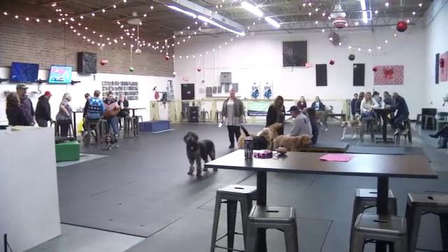 Inside The Barking Deck