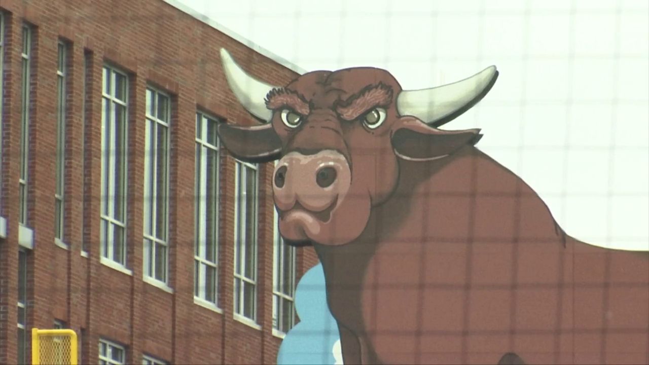 Durham Bulls manager Brady Williams talks 2019 playoff push