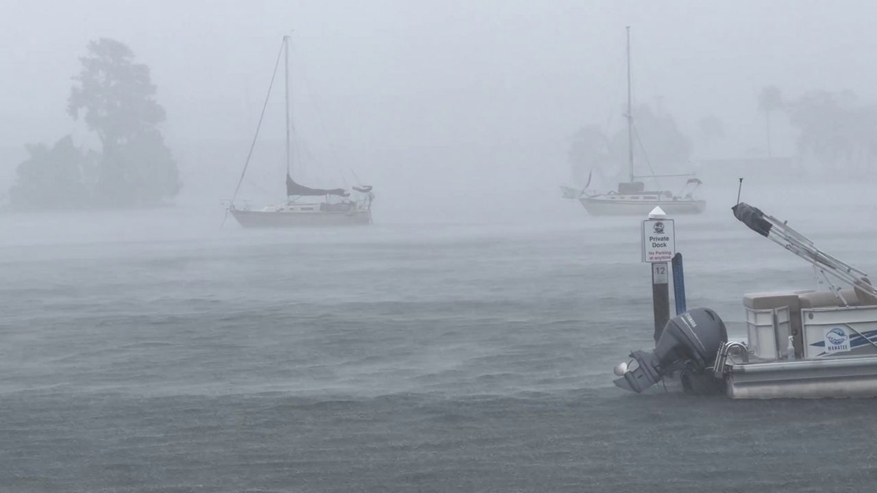 Heavy rain pours in Crystal River from bands of Tropical Storm Debby. (Spectrum News/Chris McDonald)