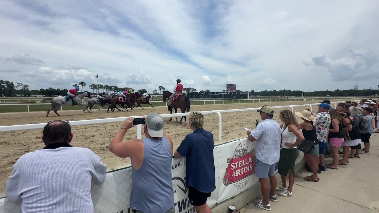Spectators watch horses race at Tampa Bay Downs on Saturday, May 3, 2025. (Spectrum News)