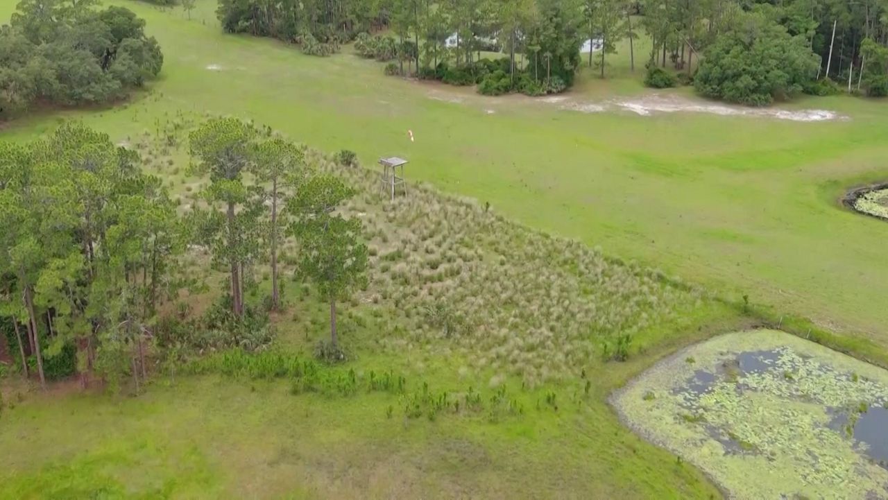 Embry-Riddle airstrip plan near Ocala forest raises concerns