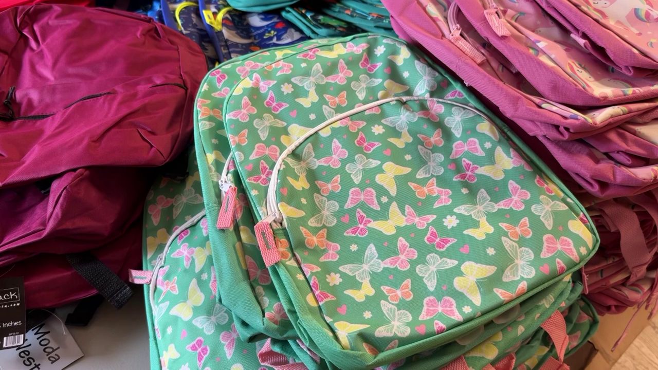 Pinellas PAL gives out more than 1,000 backpacks in Lealman