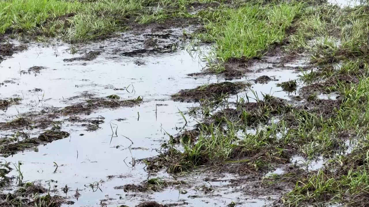 Kissimmee prepares for flooding as heavy rainfall expected this weekend