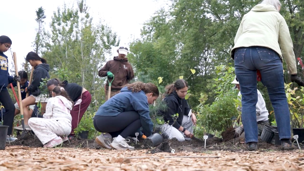Solon turns vacant property into community greenspace with mini-forest