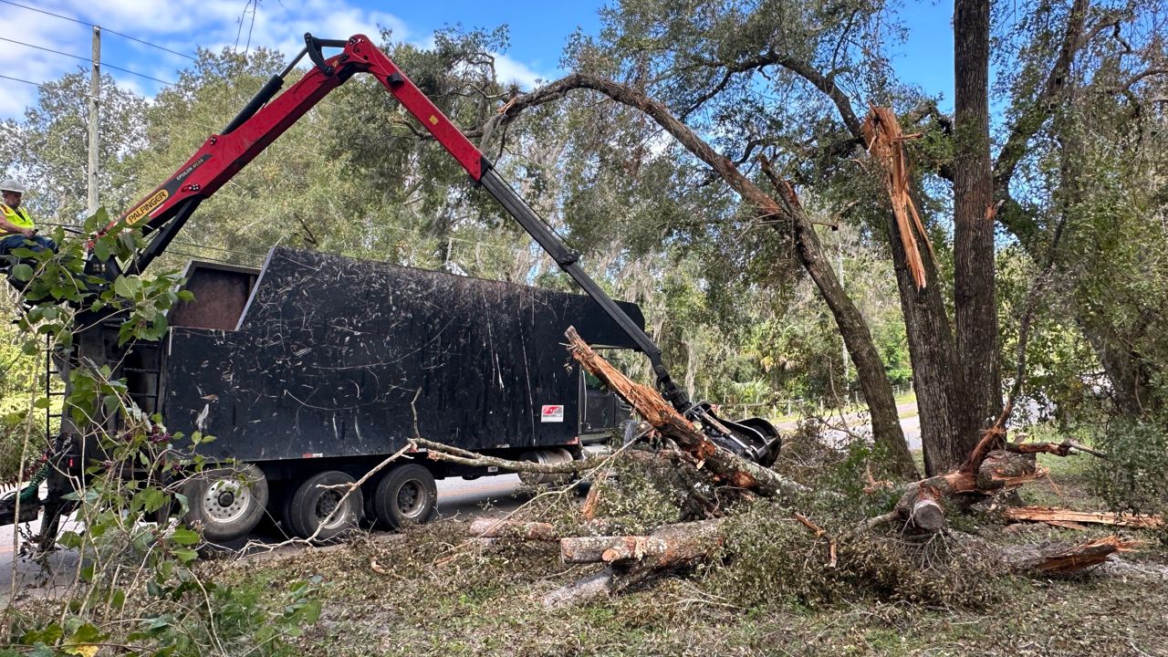 Volusia County begins mass debris removal program