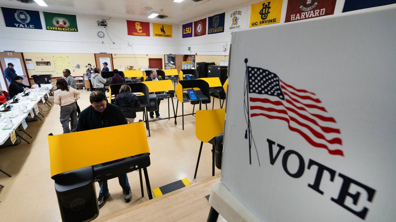 N.Y. Dems: 'We respect' blank primary ballot protest - Vimarsana News