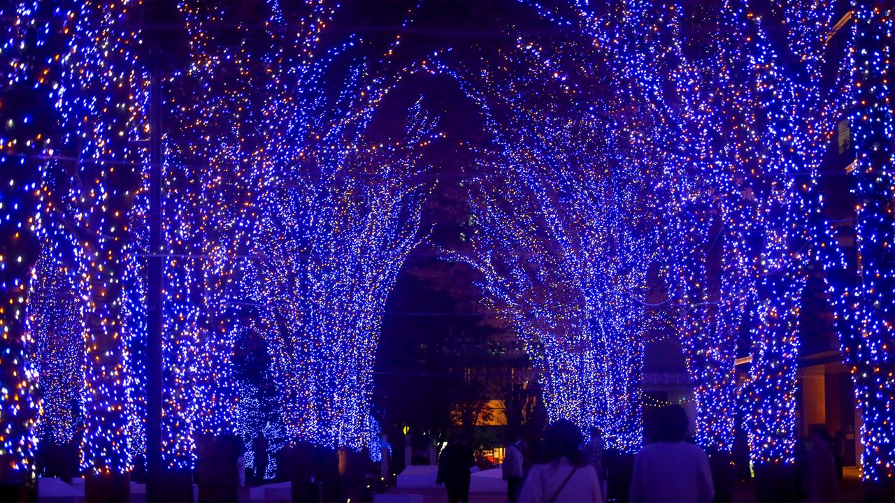 How do incandescent Christmas lights stack up against LEDs?